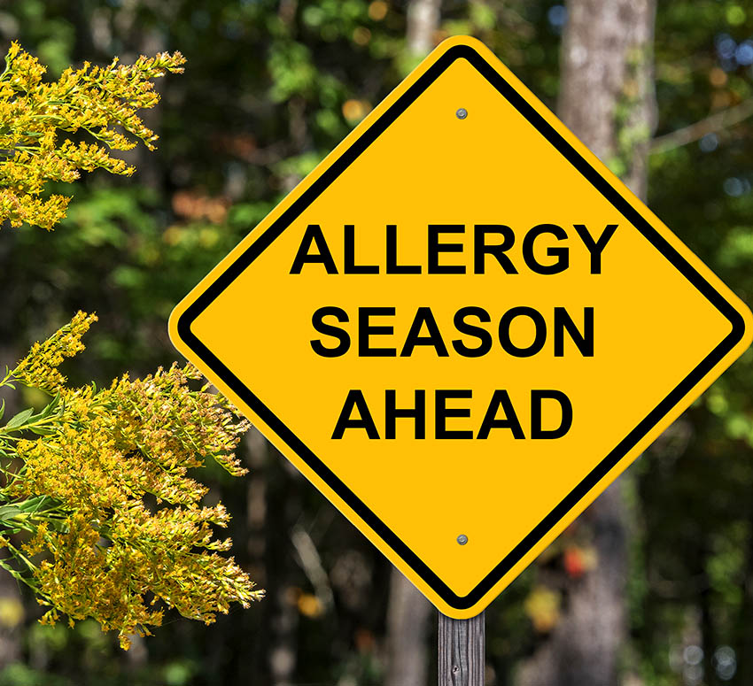 What Causes Seasonal Allergies?