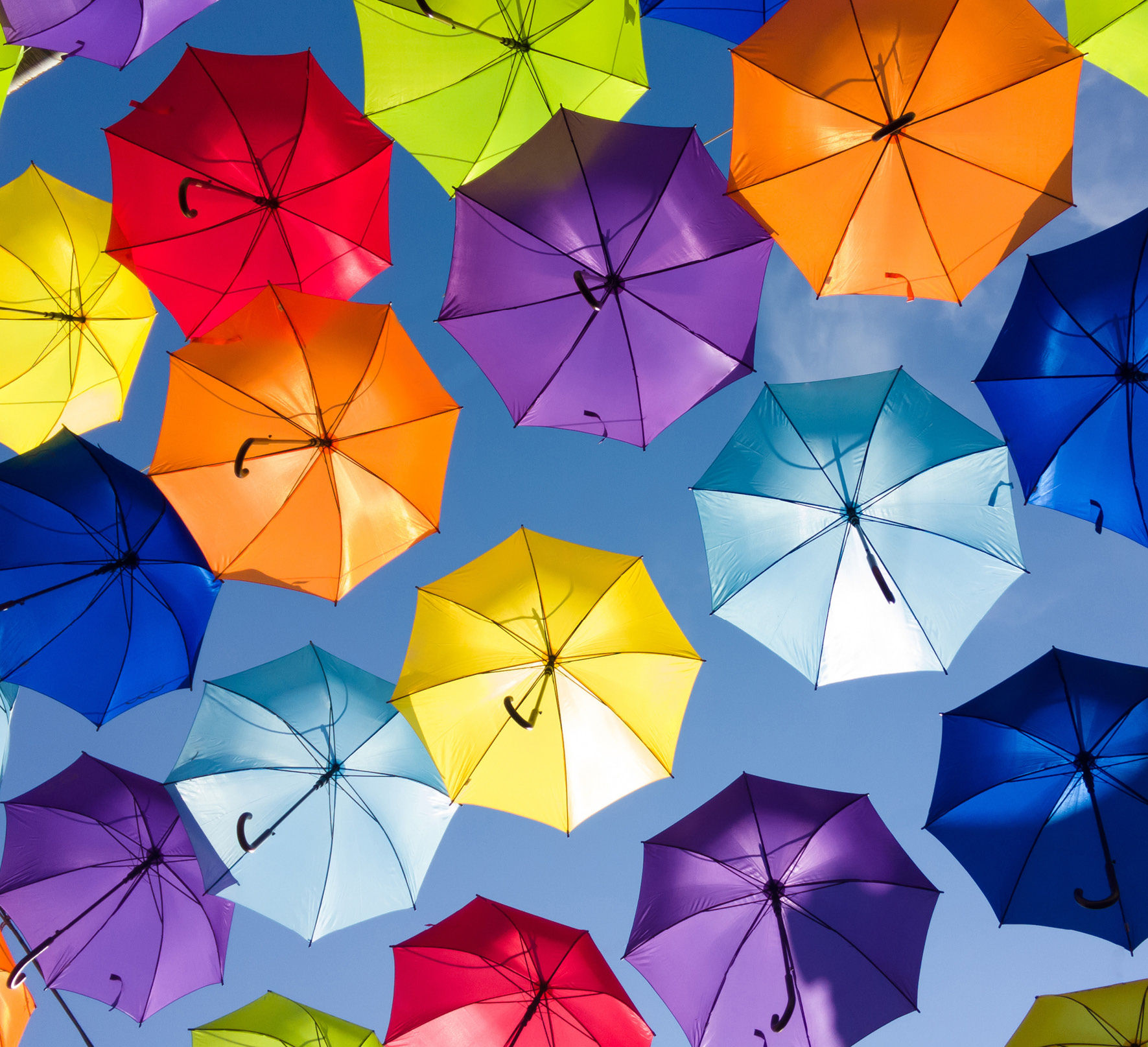 The Ultimate Easy Life Insurance Guide