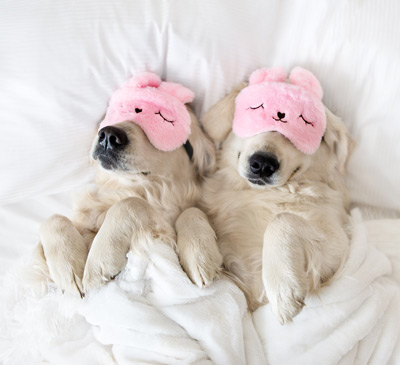 5 Tips on Improving Your Sleep Hygiene