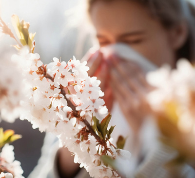 Spring And Allergies – Help!