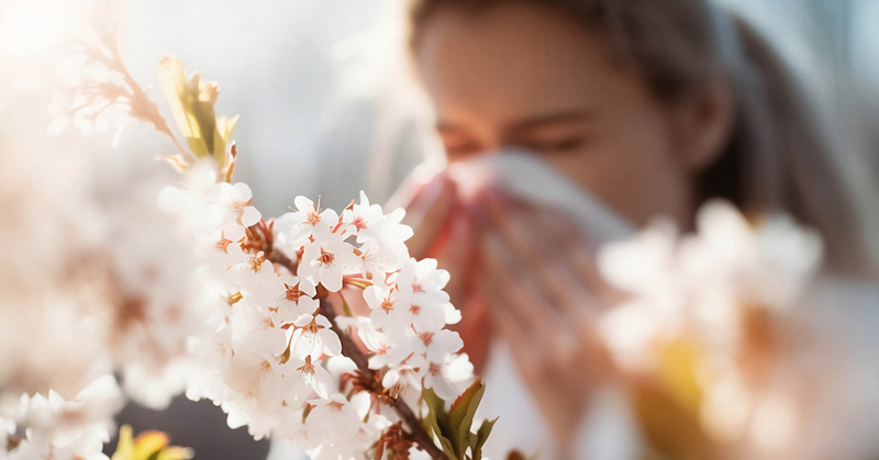 Spring And Allergies – Help!