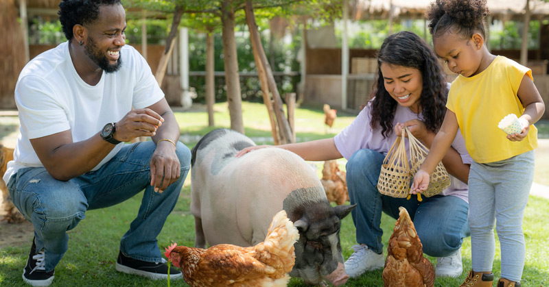 Family-Friendly Destinations In South Africa For Your Easter Break